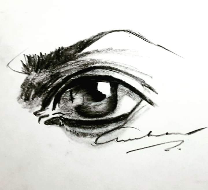 Sketch